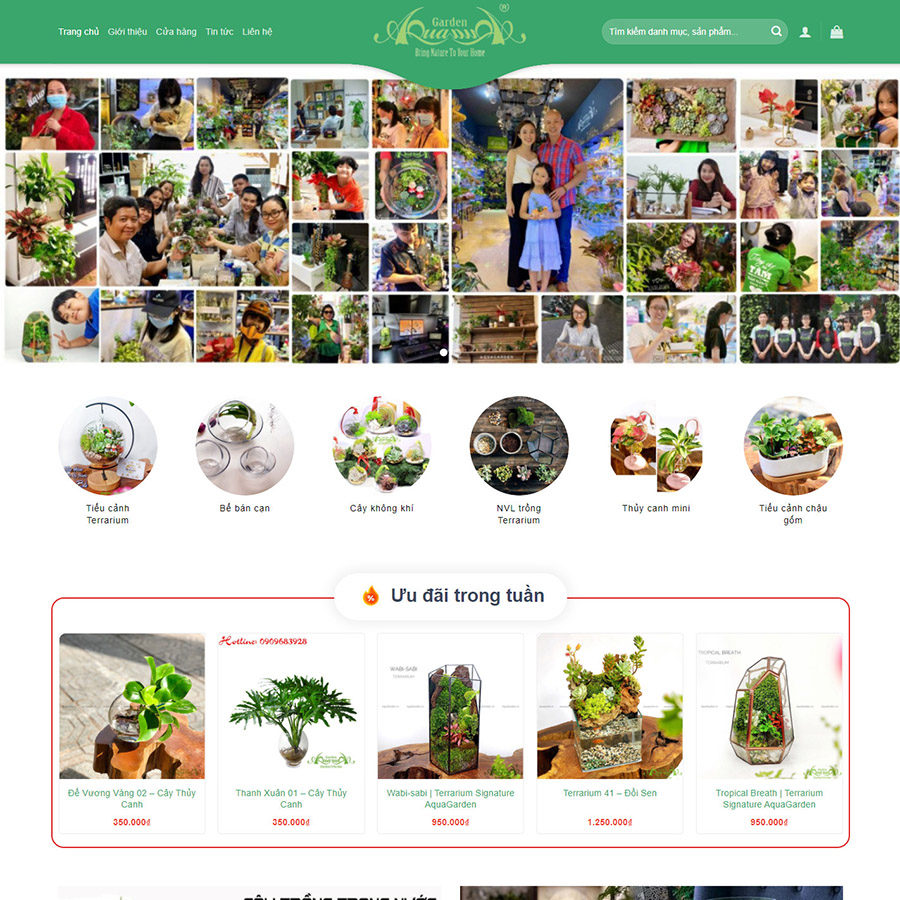 Theme wordpress bán cây xanh terrarium